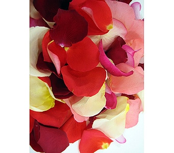 Romantic Rose Petals